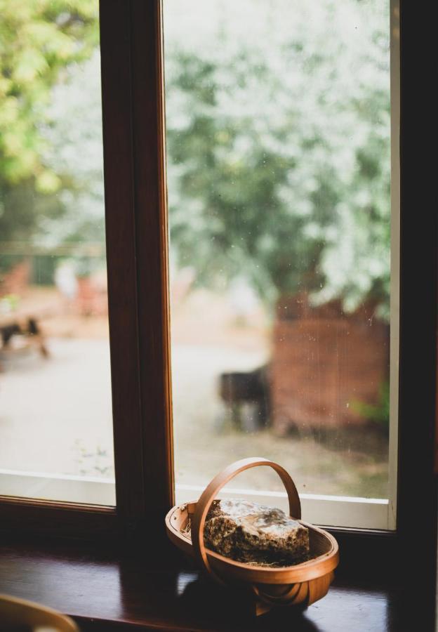 Jenkins Street Guesthouse Nundle Zewnętrze zdjęcie
